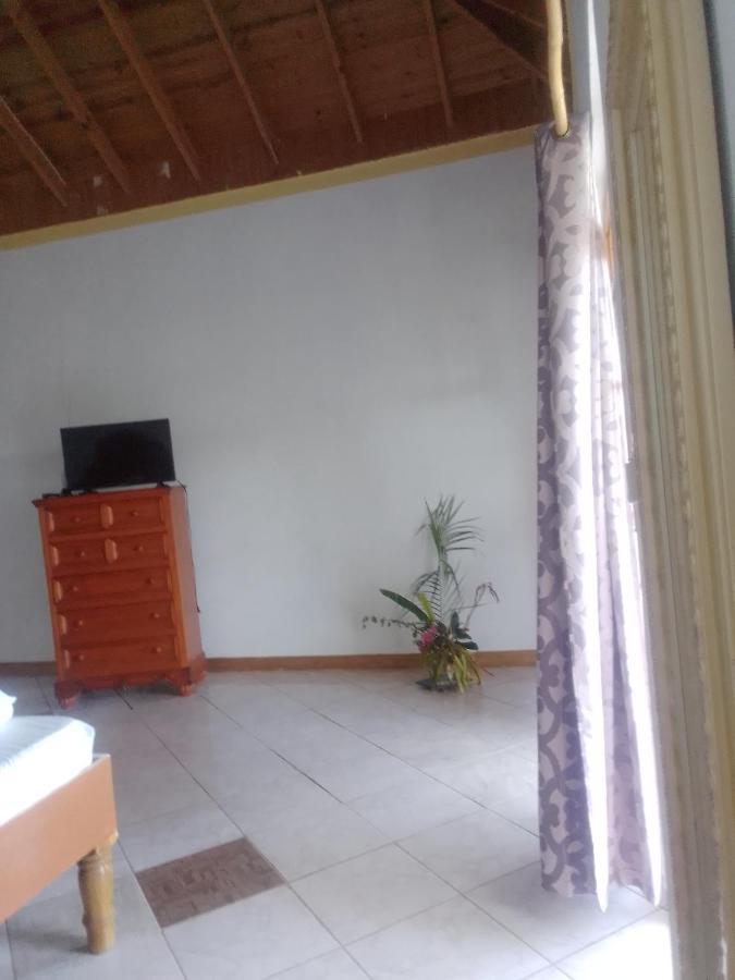 Villa Sweetsop Teluk Montego Bagian luar foto